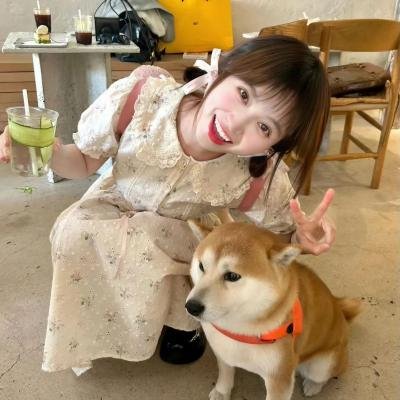 第一企鹅!