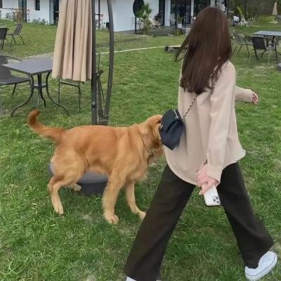 糊涂人多糊涂福